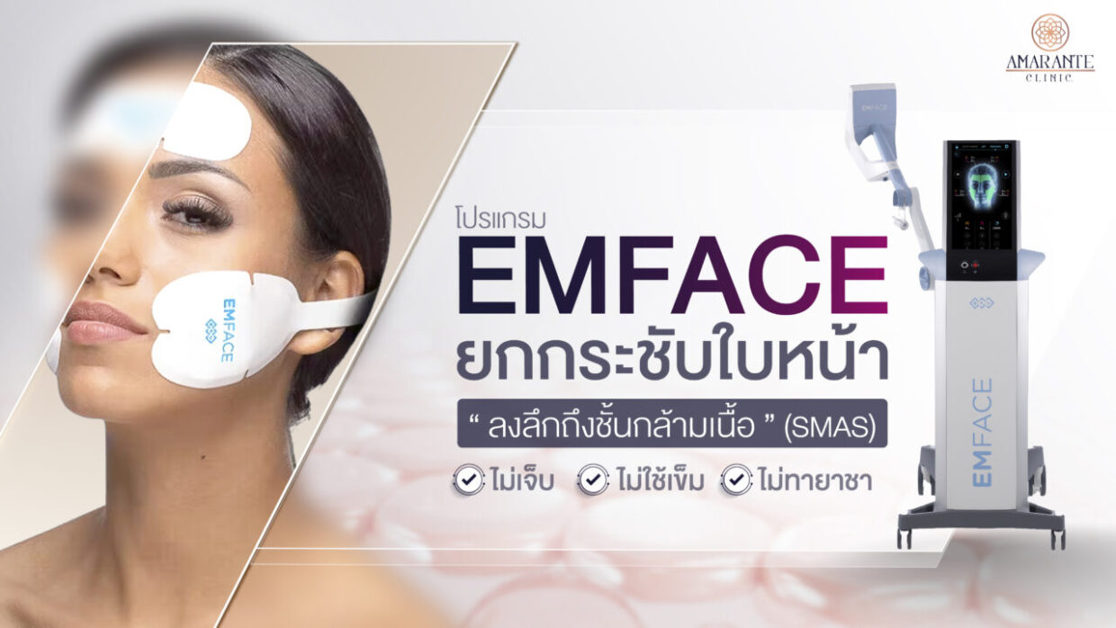 ปกหน้าโปรแกรม Emface