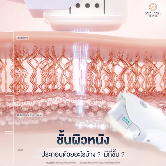 ชั้นผิวหนังมีกี่ชั้น ประกอบด้วยอะไรบ้าง